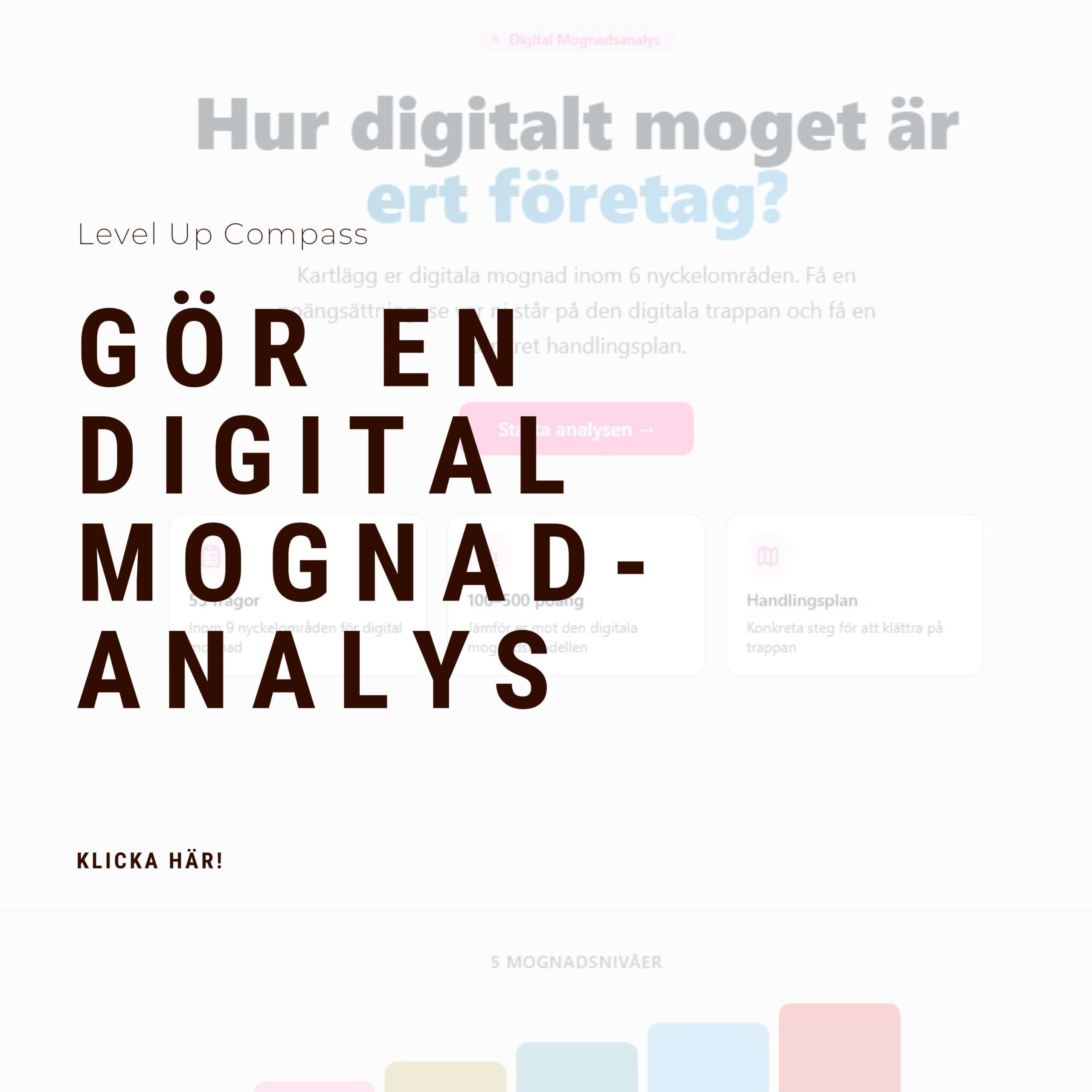Gör en digital mognad-analys